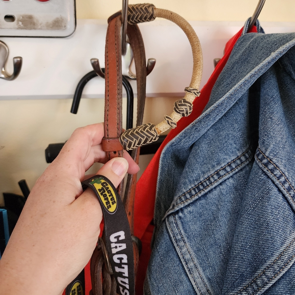 Rawhide one ear headstall
